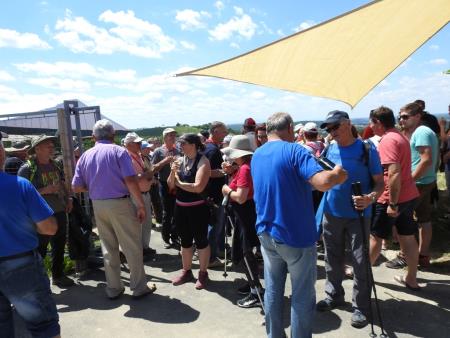 Pomlad v prleških goricah 2017 125